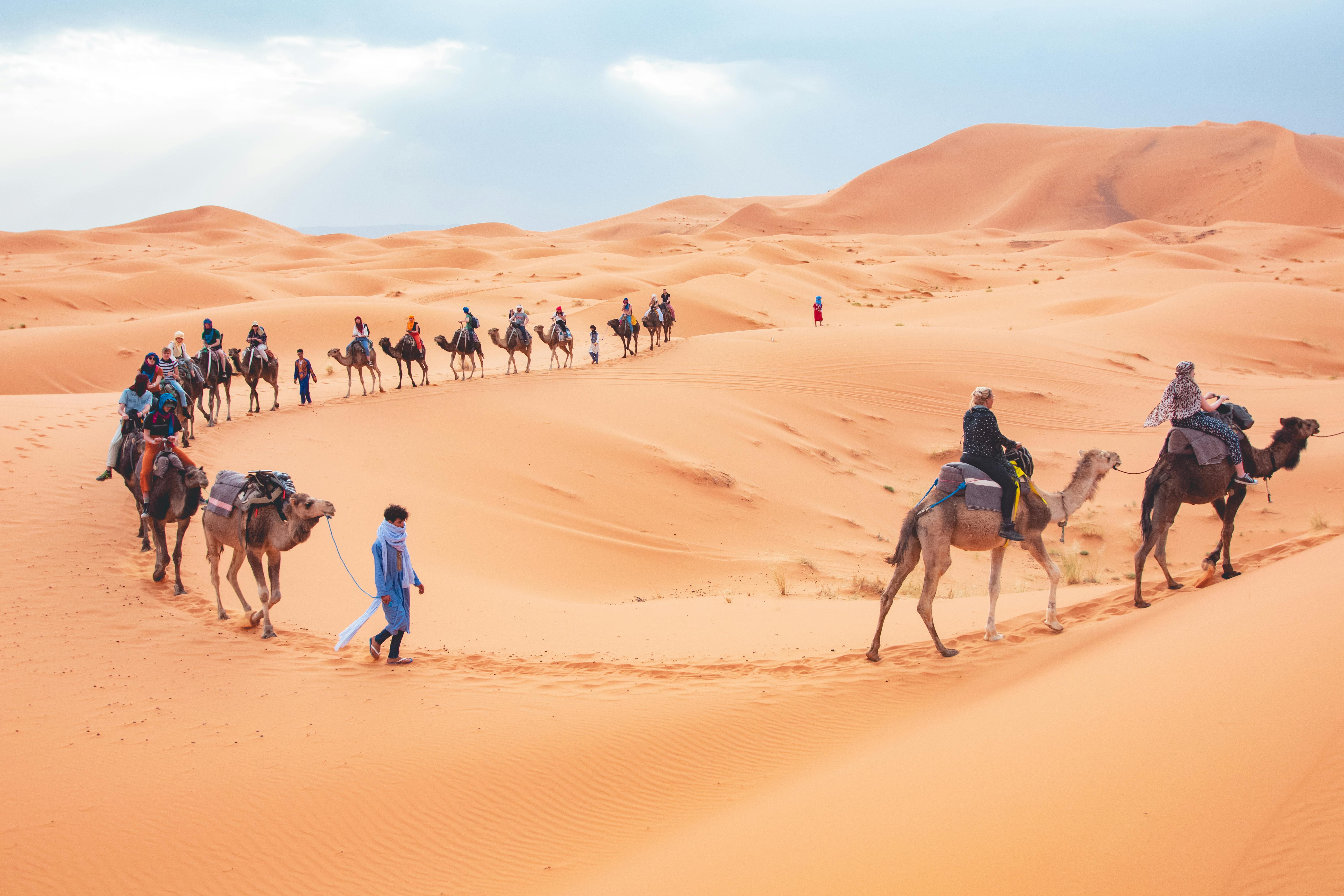 Camel Ride